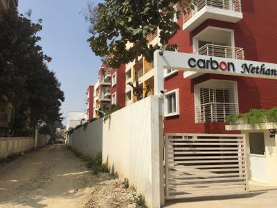 Project Image of 1745.0 - 2683.0 Sq.ft 3 BHK Apartment for buy in Carbon Nethaniah