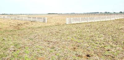 Project Image of 1250.0 - 2000.0 Sq.ft Residential Plot Plot for buy in Costal Ananda Bihar