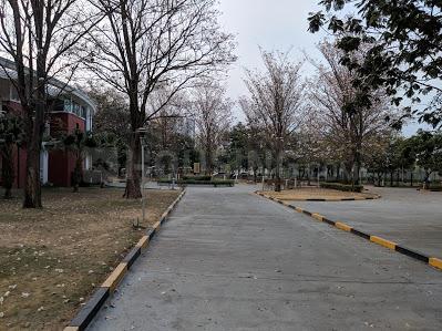 Project Image of 1231.0 - 3388.0 Sq.ft 2 BHK Apartment for buy in Shapoorji Pallonji Residency