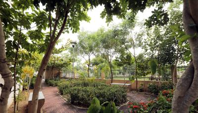 Project Image of 1200.0 - 3000.0 Sq.ft Residential Plot Plot for buy in DivyaSree Hub6