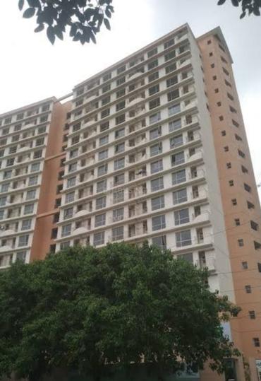 Logix Blossom Zest - Image 4