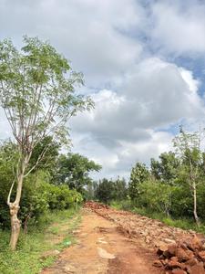 Project Image of 6000.0 - 12000.0 Sq.ft Residential Plot Plot for buy in Navile Farms 