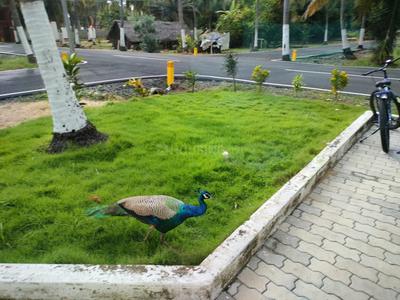 Project Image of 2400.0 - 9600.0 Sq.ft Residential Plot Plot for buy in Lereve