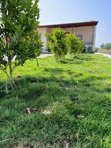 Project Image of 579.0 - 2455.0 Sq.ft Residential Plot Plot for buy in Archadius Enclave