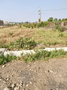 Project Images