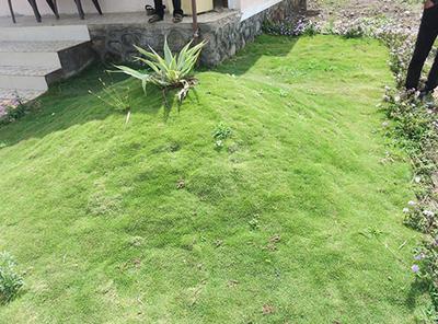 Project Image of 1867.0 - 5845.0 Sq.ft Residential Plot Plot for buy in Landscapes Nisargsrishti