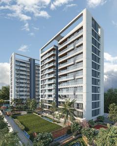 DMD Signus Elevation 2