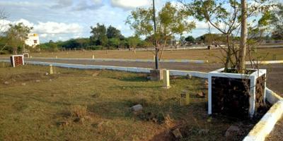 Project Image of 600.0 - 2500.0 Sq.ft Residential Plot Plot for buy in Anand New Golden Avenue
