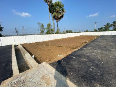 Project Image of 855.0 - 1685.0 Sq.ft Residential Plot Plot for buy in Thirumal Baba Enclave