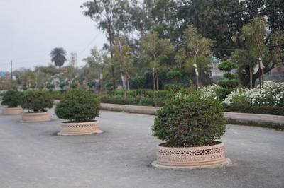 Project Image of 1560.0 - 6100.0 Sq.ft 3 BHK Villa for buy in FB Floret Town