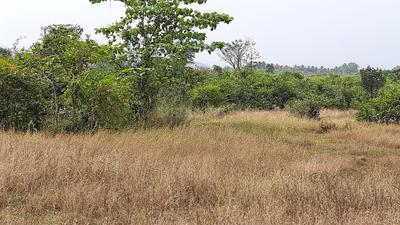 Project Image of 1000.0 - 5000.0 Sq.ft Residential Plot Plot for buy in Rama Ranjan Pada