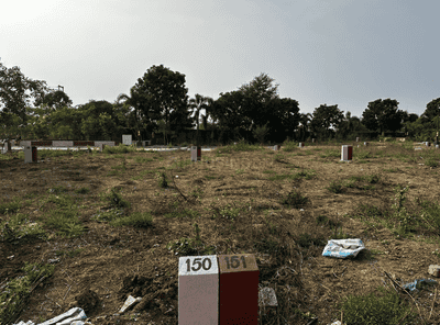 Project Images