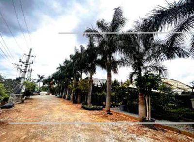 Vatavarana Internal Roads 3