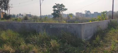 Project Image of 720.0 - 2880.0 Sq.ft Residential Plot Plot for buy in Maya Kolkata Land Complex