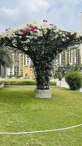 Project Image of 724.95 - 965.95 Sq.ft 2 BHK Apartment for buy in Nagjua The ET Park PH 2