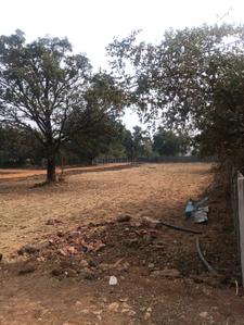 Project Image of 4850.0 - 8260.0 Sq.ft Residential Plot Plot for buy in Siddhi Vinayak Madhav Bagh Phase 2