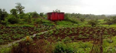 Disha Nirvana Farms Elevation 1