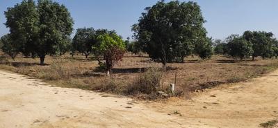 Project Image of 1350.0 - 3600.0 Sq.ft Residential Plot Plot for buy in Druvitha Rivers Edge Nature Greens