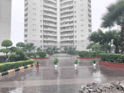 Project Image of 1310.0 - 5092.0 Sq.ft 2 BHK Apartment for buy in TARC Maceo