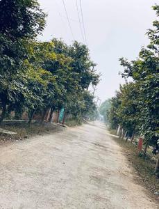 Project Image of 1000.0 - 1800.0 Sq.ft Residential Plot Plot for buy in Akshansh Enclave Phase 2