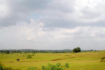Project Image of 1907.0 - 2925.0 Sq.ft Residential Plot Plot for buy in Subhadra Makhmalabad Plot