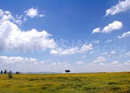 Residential Lands for Sale in ABI Asiad Residency
