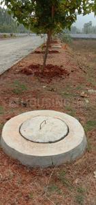 Project Image of 809.98 - 2600.02 Sq.ft Residential Plot Plot for buy in Siri Venkateswara Nandanavanam Prasiddha