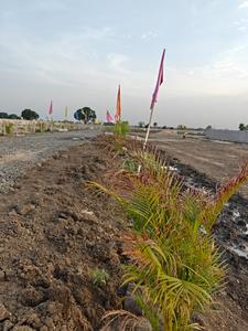 Project Image of 3000.0 - 6000.0 Sq.ft Agricultural Land Agricultural Land for buy in Kanha Piece Of Gold