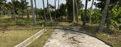 Project Images
