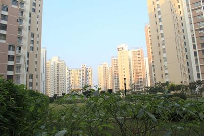 Project Image of 1768 Sq.ft 3 BHK Apartment / Flat for sale in Sector PI for Rs. 10500000