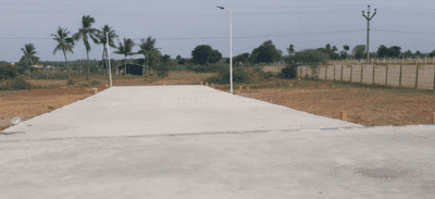 Project Images