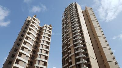 Ace Pelican Elevation 1