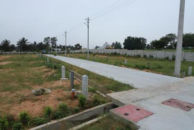 Project Image of 0.0 - 1200.18 Sq.ft Residential Plot Plot for buy in Royale Properties Bethel
