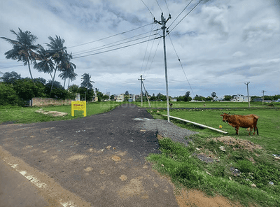 Ranikrishnan Nagar Internal Roads & Footpaths 1