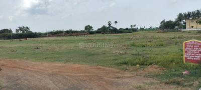Gallery Cover Pic of Sri Ram Nagar Extension