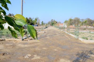 Project Image of 1000.0 - 1800.0 Sq.ft Residential Plot Plot for buy in Akshansh Enclave Phase 2