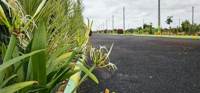 Project Image of 1485.0 - 7200.0 Sq.ft Residential Plot Plot for buy in Sree Bhuvi Pharma City