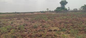 Project Image of 1000.0 - 10000.0 Sq.ft Residential Plot Plot for buy in Mahamumbai Plots In Belondekhar
