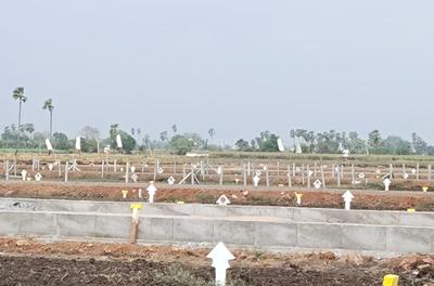 Project Image of 1125.0 - 2997.0 Sq.ft Residential Plot Plot for buy in Bhavishya Raaga