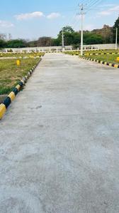 Project Image of 1319.4 - 4554.0 Sq.ft Residential Plot Plot for buy in Sun Olive Greens