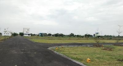 Project Images