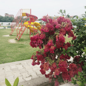 Project Image of 458.11 - 679.96 Sq.ft 2 BHK Apartment for buy in Inprosper New Saket Phase 2