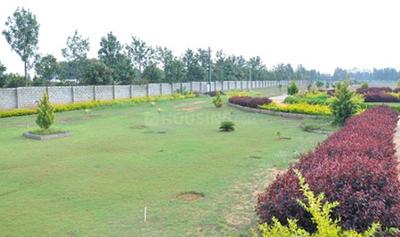 Project Image of 0.0 - 1200.0 Sq.ft Residential Plot Plot for buy in Peninsula Pine woods