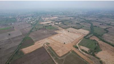 Project Image of 1314.0 - 5426.0 Sq.ft Residential Plot Plot for buy in UB The Paragraph