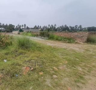Neer Garden Plot 2