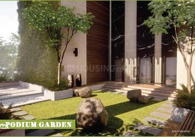 Project Images