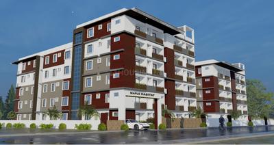 B V Maple Elevation 1