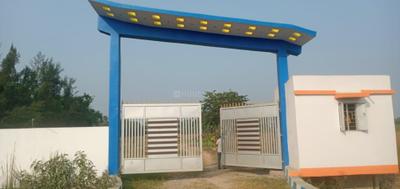 Project Image of 1440.0 - 3600.0 Sq.ft Residential Plot Plot for buy in Trinayan Enclave