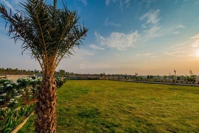 Project Image of 1200.0 - 5400.0 Sq.ft Residential Plot Plot for buy in SPA Eco City