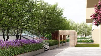 Maven Heights Landscape Garden and Tree Planting 1